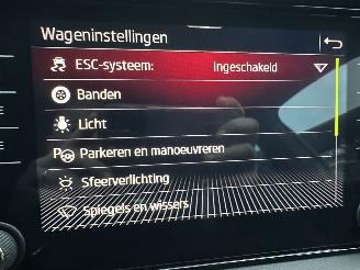 Skoda Kodiaq 1.5 TSI 150pk 7-traps aut Sportline Bus - nap - nardo grey - keyless - virtual - sfeerverl - nav - cam - memory picture 38