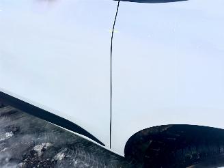 Renault Kangoo E-Tech 44kwh 122pk aut advance - nap - 2x schuifdeur - 1e eig - clima - cruise - pdc picture 58