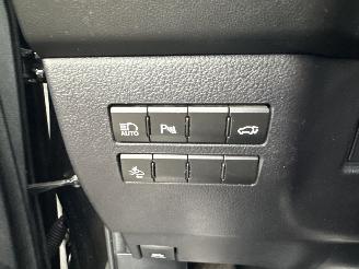 Lexus NX 300h 2.5 Hybrid aut + f1 AWD F-Sport Line - schuifdak - front + line assist - head up - elektr stuur + klep picture 57