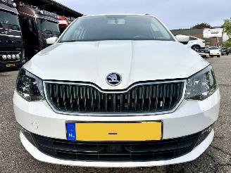 Skoda Fabia Gereserveerd 1.0 TSI 95pk Clever - org nl - front assist - pdc - airco - cruise - navi - privacy glass - rijdbaar picture 3