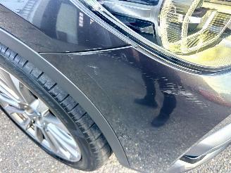 BMW X3 Xdrive30E 259pk aut eDrive Ed - pano - nap - 20 inch - leer - keyless - stuurverw - front + line + side + park assist picture 122