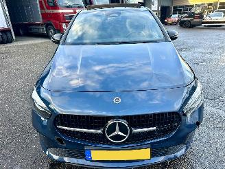 Mercedes B-klasse 250e 163pk aut + f1 Lux Line - pano - nap - 1e eig - widescreen - sfeerverl - leer - memory l+r picture 104