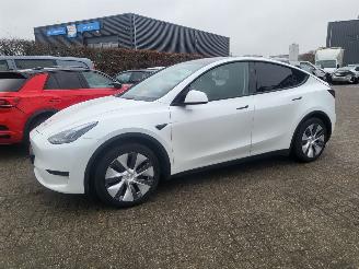 uszkodzony samochody osobowe Tesla Model Y MODEL Y RWD 58 kWh 52000 km rijdbaar 2024/11