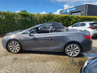 Opel Cascada Cascada 1.6 Turbo Innovation 1e eigenaar lichte blikschade picture 11