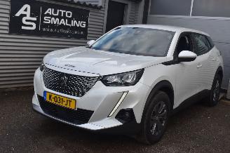 Peugeot e-2008 50Kwh Ative Pack 136Pk *Navi/Clima/Camera picture 1