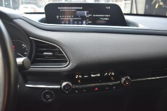 Mazda CX-30 2.0 E-Skyactiv-X Hybrid Luxury 179Pk *Navi/Clima/Camera picture 10