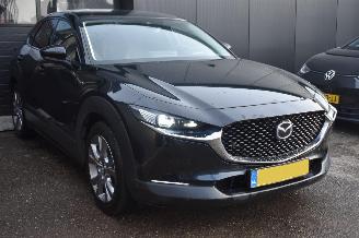 Mazda CX-30 2.0 E-Skyactiv-X Hybrid Luxury 179Pk *Navi/Clima/Camera picture 2