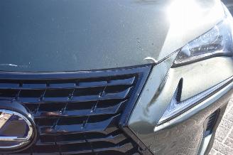 Lexus NX 300h 2.5 AWD Ultimate Edition 155Pk *Navi/Clima/Camera/Stoelverwarming picture 19