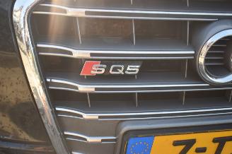 Audi SQ5 3.0 Tdi Quattro SQ5 313Pk *Navi/Clima/Stoelverwarming/Camera picture 18