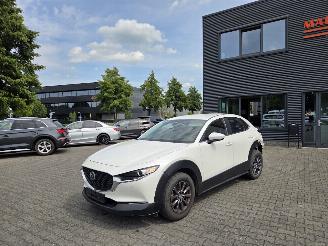 Unfallwagen Mazda CX-30 BENZINE-HYBR / CAMERA / NAVI / HEAD UPP 2023/10