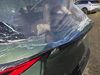 Kia Sportage 117kw HYBR -  AUTOM / CAMERA / NAVI / STOELVERW / 23 DKM picture 13