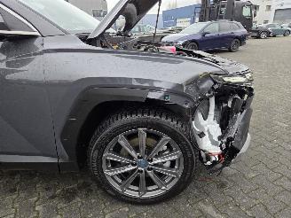 Hyundai Tucson 118KW HYBR / PREMIUM / HED UPP / LEER / 360gr CAMERA picture 19