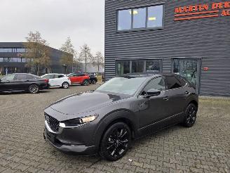 Mazda CX-30 137 kw Hybride / Automaat picture 2