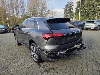 Audi Q8 E-tron S-LINE  Quattro 250kw / 95 Ah / Luchtvering picture 4