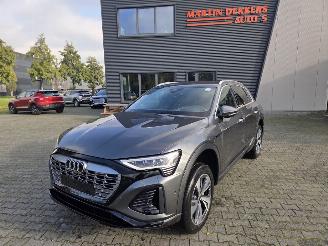 škoda osobní automobily Audi Q8 e-tron 50 quattro S line 2024/8