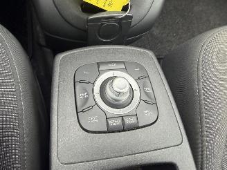 Renault Scenic 1.4 TCE Celsium picture 14