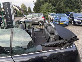 Mini Cabrio 1.6 Cooper Chili picture 16