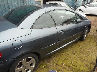 Peugeot 307 Benzine 2.0 Cabrio picture 4