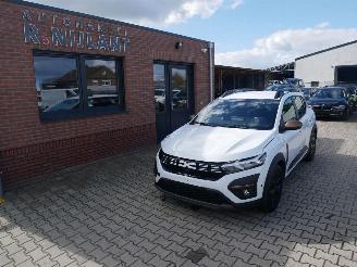 Avarii autoturisme Dacia Sandero STEPWAY 2024/7