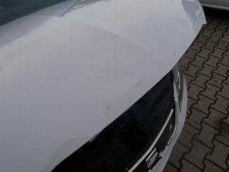 Seat Ibiza FR BI-XENON picture 12