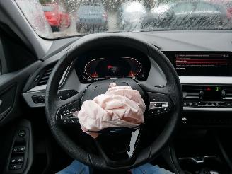 BMW 1-serie 116i ADVANTAGE LED VIRTUAL COCKPIT picture 12