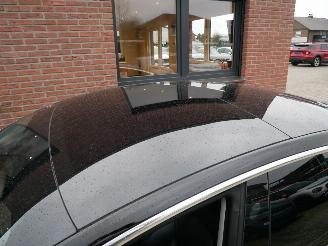 Tesla Model 3 STANDAARD RANGE PLUS PANORAMADEK LEER LED picture 22