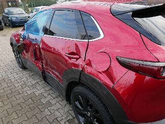 Mazda CX-30 NAGISA LED 2WD picture 6