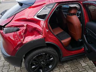 Mazda CX-30 NAGISA LED 2WD picture 13