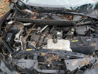 Nissan Juke  picture 5