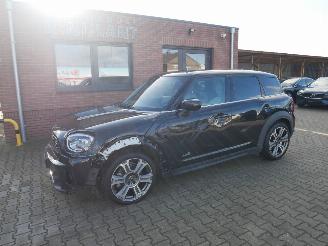 Unfallwagen Mini Countryman ALL 4 NORTHWOOD PANORAMADAK LEER LED 2021/8