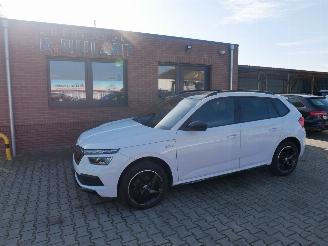 Avarii autoturisme Skoda Kamiq MONTE CARLO PANORAMADAK LED 2024/3