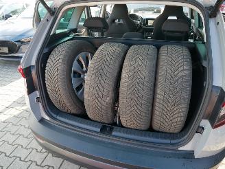 Skoda Karoq STYLE 4X4 LED ACC picture 13