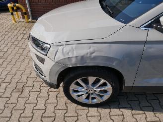 Skoda Karoq STYLE 4X4 LED ACC picture 5