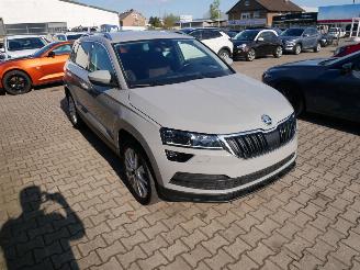 Skoda Karoq STYLE 4X4 LED ACC picture 2