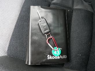 Skoda Octavia RS picture 13
