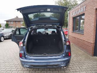 Ford Kuga ST-LINE X PLUG-IN PANORAMADAK LED HUD B&O picture 15