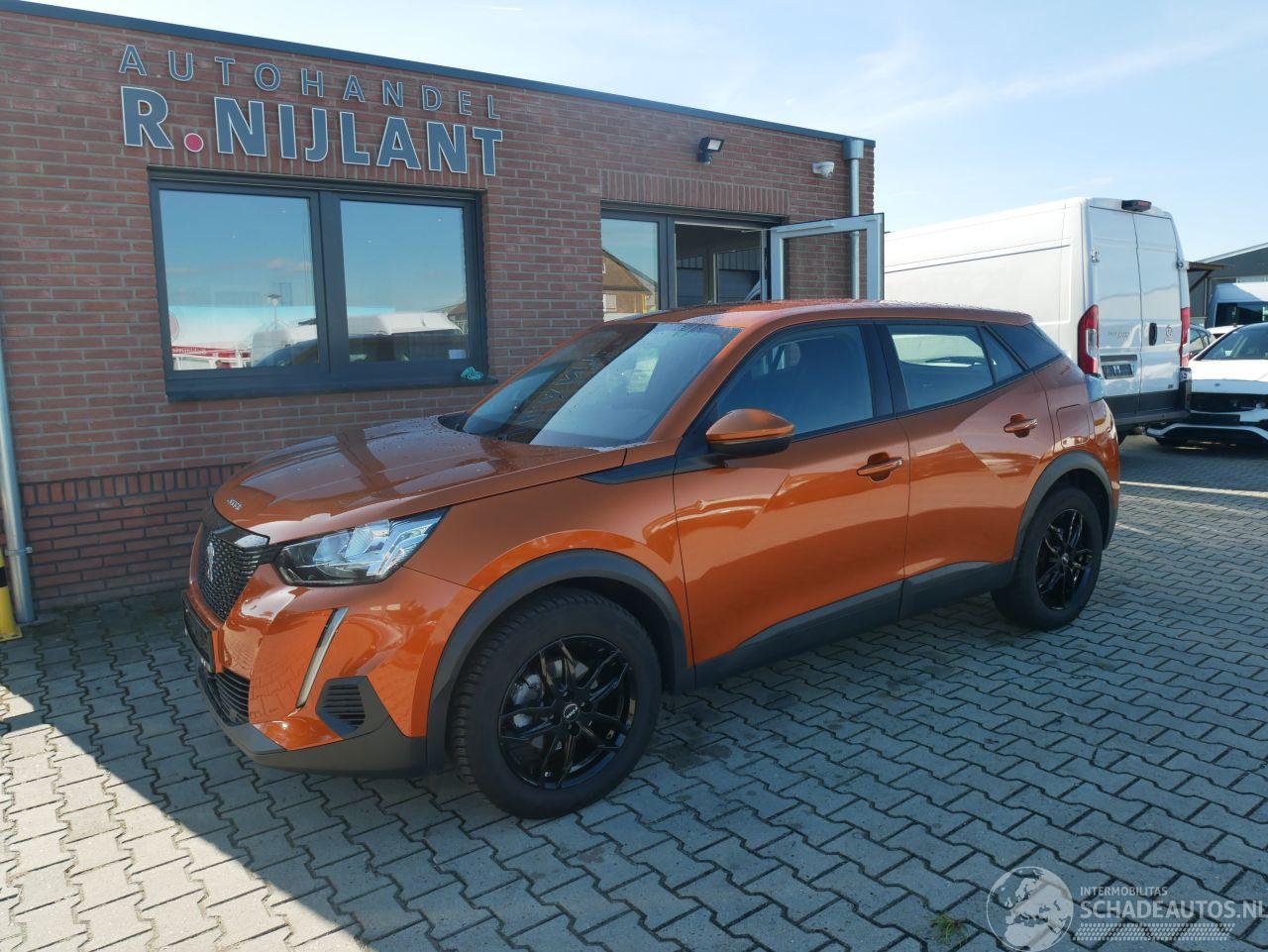 Peugeot 2008 ACTIVE  HAGELSCHADE