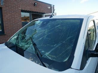 Opel Combo CARGO XL picture 5