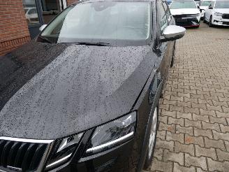 Skoda Octavia scout 4x4 LED DSG picture 8