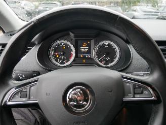 Skoda Octavia scout 4x4 LED DSG picture 12