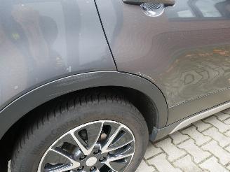 Suzuki SX4 CROSS LEER LED PANORAMADAK picture 5