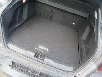 Renault Arkana 1.6E-TECH AUT. Hybrid Climatronic Navi Camera.... picture 11