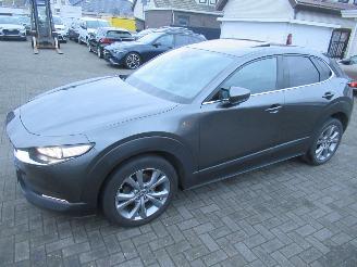 Mazda CX-30 2.0 E-SKYACTIV-X 186pk AWD Aut. MildHybrid  Bose-Sound Climatronic Leer Navi Schuifdak Stoel/Stuur-Verwarming picture 3