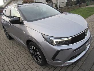 krockskadad bil auto Opel Grandland GrandLand X 1.2B 130pk AUT. INNOVATION  Climatronic HalfLeer Navi Camera Stoel/StuurVerwarming 2023/4