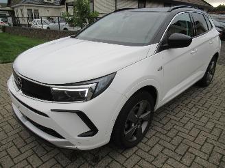 Unfallwagen Opel Grandland GrandLand X  1.2T 130pk AUT. Climatronic HalfLeer/Alcant Navi Camera Keyless-Go Stoel/Stuur-Verwarming 2024/5