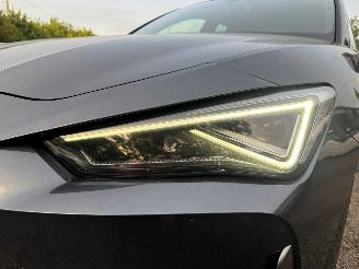 Cupra Leon Leon 150pk Pano Kuipstoelen sfeer verlichting picture 18