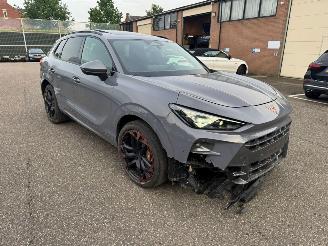 Cupra Terramar VZ 195KW  4x4 WD PANO Kuipstoelen Vierwielaandrijving LED VOLLE picture 6
