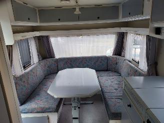 Kip  GERESERVEERD   Grey Line 48 TRZ Voortent picture 6