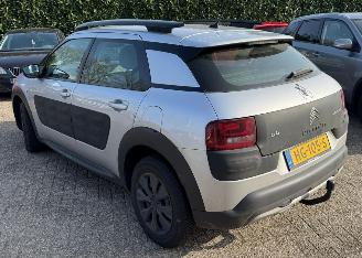 Citroën C4 cactus 1.6 Blue HDI Business picture 4