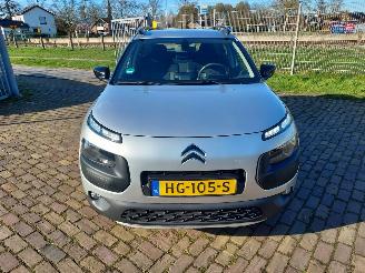 Citroën C4 cactus 1.6 Blue HDI Business Euro 6 picture 5